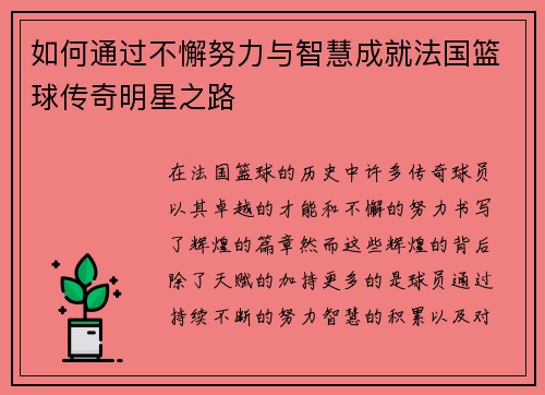 如何通过不懈努力与智慧成就法国篮球传奇明星之路 如何通过不懈努力与智慧成就法国篮球传奇明星之路
